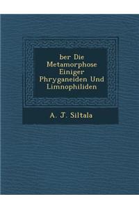 Ber Die Metamorphose Einiger Phryganeiden Und Limnophiliden