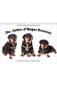 Des Bebes D'anges Heureux 2017