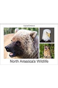 North America's Wildlife 2018