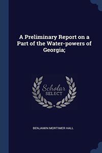 A Preliminary Report on a Part of the Water-powers of Georgia;