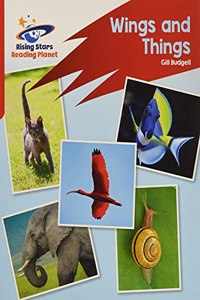 Reading Planet: Rocket Phonics - Target Practice - Wings and Things - Red B