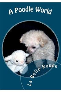 A Poodle World