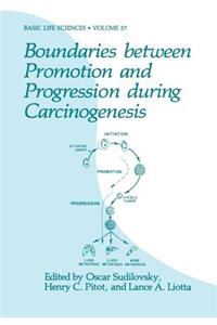 Boundaries between Promotion and Progression during Carcinogenesis