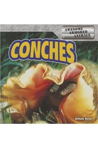 Conches