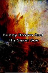 Bunny Brown And His Sister Sue