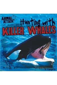 Hunting with Killer Whales