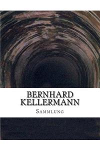 Bernhard Kellermann, Sammlung