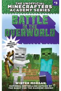 Battle in the Overworld