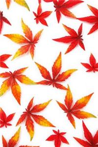 Mind Blowing Red Autumn Journal