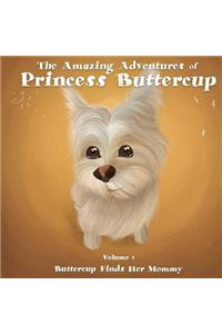 The Amazing Adventures of Princess Buttercup