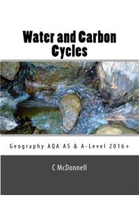 Water and carbon cycles