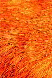 Orange Fur Journal
