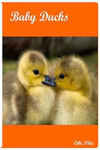 Baby Ducks - Notebook / Extended Lined Pages / Soft Matte Cover