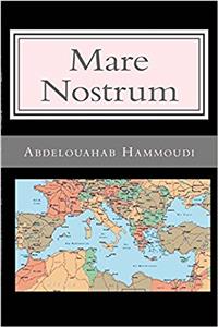 Mare Nostrum: Une Aventure De Linspecteur Zinedine: 3