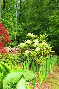 Journal Pretty Summer Landscaping