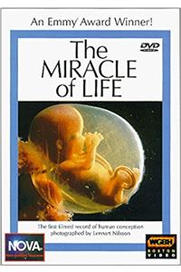 The Miracle of Life