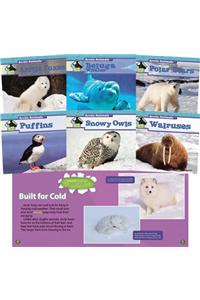 Arctic Animals (Set)