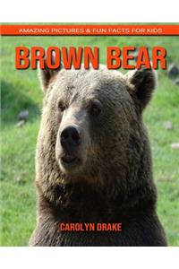 Brown Bear