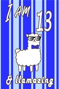 I AM 13 and LLamazing boys journal