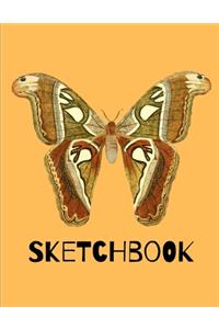 Sketchbook