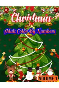 Christmas Adult Color By Numbers ( Volume 1 )