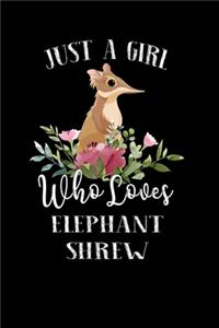 Just a Girl Who Loves Elephant Shrew
