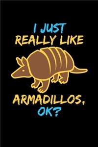 I Just Really Like Armadillos, Ok?