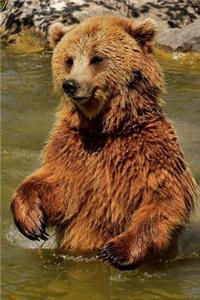 European Brown Bear Notebook