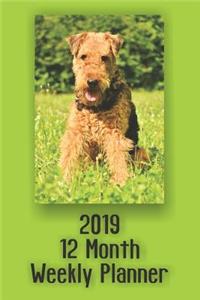 2019 12 Month Weekly Planner