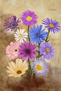 Asters