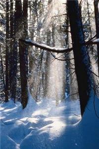 2019 Weekly Planner Winter Theme Sun On Snow 134 Pages