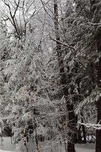 2019 Daily Planner Winter Season Snowy Forest 384 Pages