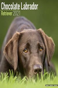 Chocolate Labrador Retriever 2021 Wall Calendar