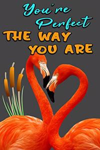 You Are Perfect the Way You Are