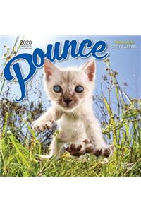 Pounce 2020 Mini 7x7