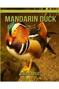 Mandarin Duck