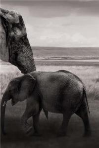 Elephants Notebook