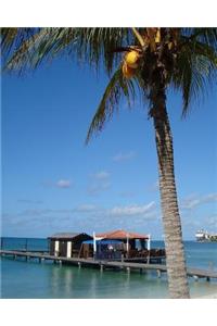 Daily Organizer and Planner