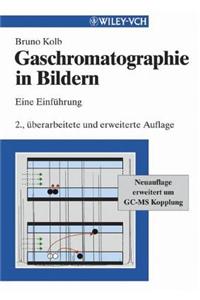 Gaschromatographie in Bildern: Eine Einfuhrung