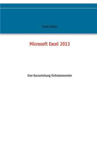 Microsoft Excel 2013