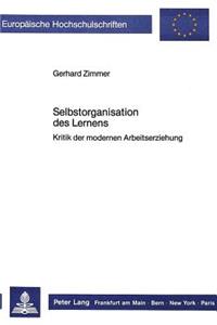 Selbstorganisation des Lernens: Kritik Der Modernen Arbeitserziehung