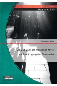 Bad Bank als mögliches Mittel zur Bewältigung der Finanzkrise