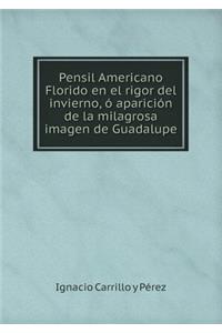 Pensil Americano Florido En El Rigor del Invierno, Ó Aparición de la Milagrosa Imagen de Guadalupe