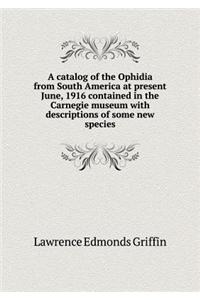 A Catalog of the Ophidia from South America at Present June, 1916 Contained in the Carnegie Museum with Descriptions of Some New Species