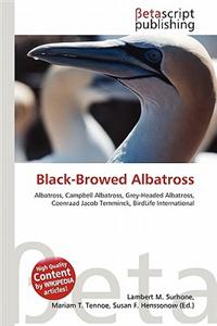 Black-Browed Albatross