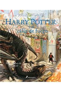 Harry Potter Y El Cáliz de Fuego. Edición Ilustrada / Harry Potter and the Goblet of Fire: The Illustrated Edition