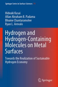 Hydrogen and Hydrogen-Containing Molecules on Metal Surfaces