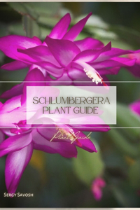 Schlumbergera Plant Guide