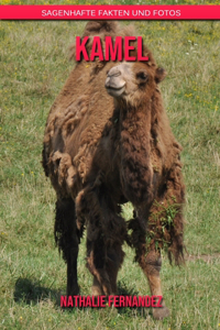Kamel