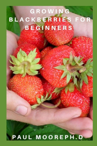 Growing Blackberries For Beginners